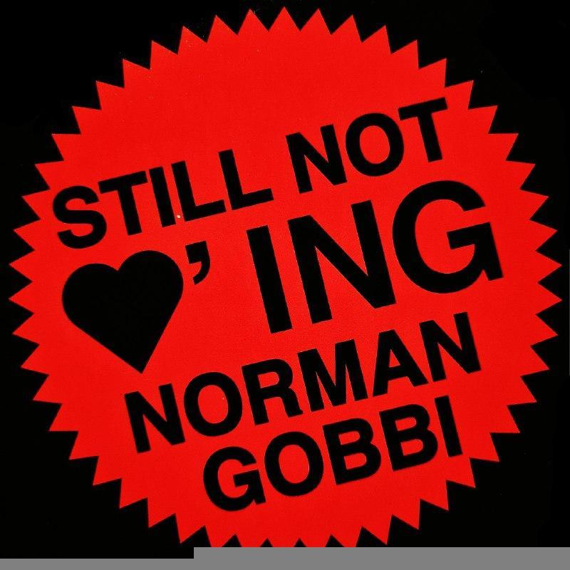 IL MONDO SECONDO N. : TUTTO A NORMA(N) DI LEGGE